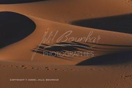 Image du Maroc Professionnelle de  L'ombre d'une caravane avec son guide et ses touristes au lever du soleil sur les dunes de sable du Sahara à Merzouga dans la région de Drâa-Tafilalet au Sud Est du Maroc, le long de ce que l'on appelle la route des mille kasbahs, Dimanche 5 mars 2017. De nombreux touristes visitent les dunes de Merzouga à l’aube pour contempler la beauté du lever du soleil sur les dunes de sable du Sahara. (Photo / Abdeljalil Bounhar 